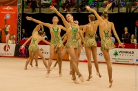 © ВФЭГ (RFAG)