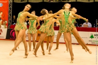 © ВФЭГ (RFAG)