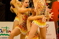 © ВФЭГ (RFAG)