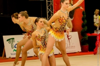© ВФЭГ (RFAG)