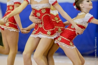 © ВФЭГ (RFAG)