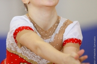 © ВФЭГ (RFAG)
