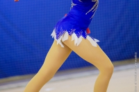 © ВФЭГ (RFAG)