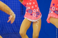 © ВФЭГ (RFAG)
