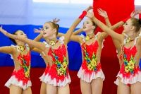 © ВФЭГ (RFAG)