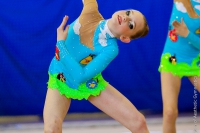 © ВФЭГ (RFAG)