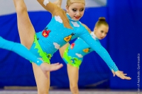 © ВФЭГ (RFAG)
