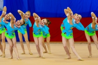 © ВФЭГ (RFAG)