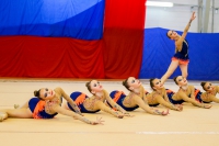 © ВФЭГ (RFAG)