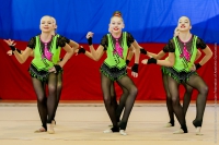 © ВФЭГ (RFAG)