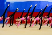 © ВФЭГ (RFAG)