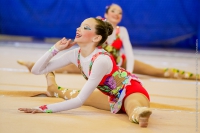 © ВФЭГ (RFAG)