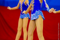 © ВФЭГ (RFAG)