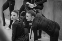 © ВФЭГ (RFAG)