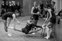 © ВФЭГ (RFAG)