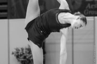 © ВФЭГ (RFAG)