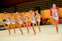© ВФЭГ (RFAG)