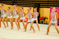 © ВФЭГ (RFAG)