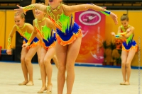© ВФЭГ (RFAG)