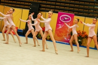 © ВФЭГ (RFAG)