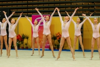 © ВФЭГ (RFAG)
