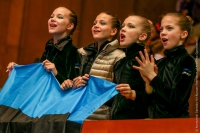© ВФЭГ (RFAG)