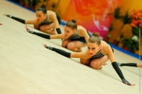 © ВФЭГ (RFAG)