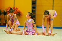 © ВФЭГ (RFAG)