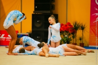 © ВФЭГ (RFAG)
