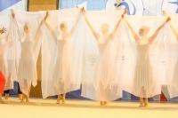 © ВФЭГ (RFAG)