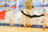© ВФЭГ (RFAG)