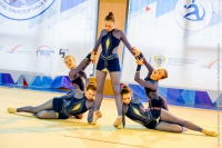 © ВФЭГ (RFAG)