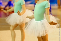 © ВФЭГ (RFAG)