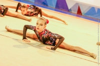 © ВФЭГ (RFAG)