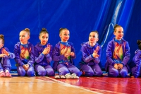 © ВФЭГ (RFAG)