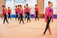 © ВФЭГ (RFAG)