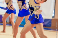 © ВФЭГ (RFAG)