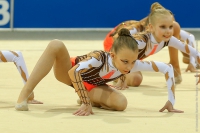 © ВФЭГ (RFAG)