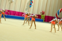© ВФЭГ (RFAG)