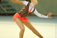 © ВФЭГ (RFAG)