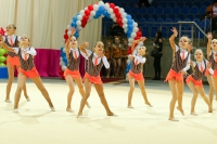 © ВФЭГ (RFAG)