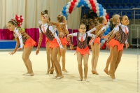 © ВФЭГ (RFAG)