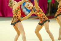 © ВФЭГ (RFAG)