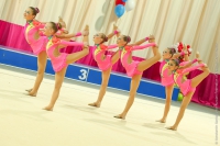 © ВФЭГ (RFAG)
