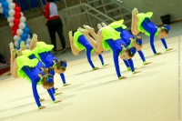 © ВФЭГ (RFAG)