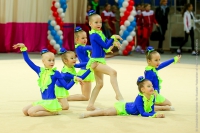 © ВФЭГ (RFAG)