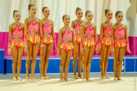 © ВФЭГ (RFAG)