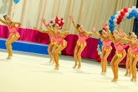 © ВФЭГ (RFAG)