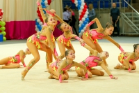 © ВФЭГ (RFAG)
