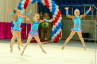 © ВФЭГ (RFAG)